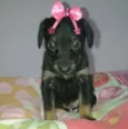 bebe peq porte