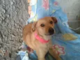 Lindinha