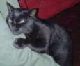 missi