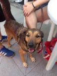 Dora