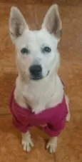 Roberta Maria