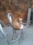 TININHA