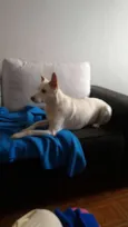 Nina