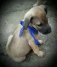 EROS 