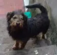 Betoven