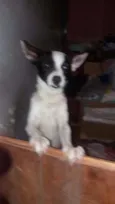 ainda não tem nome