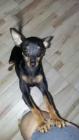 Francisco