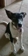 samanta