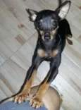 Francisco