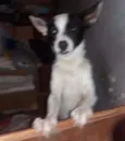 ainda não tem nome
