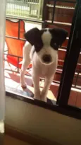 Kiko