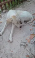 recém nascido