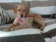 nao sei