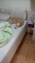 Paçoca 