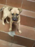 Bebezinha