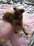 Bebezinha