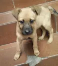 Bebezinha