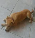 Mel