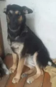Bella