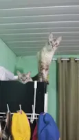 Nara e Naomi