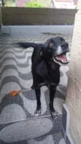 Tobby