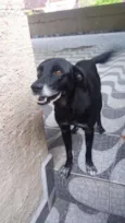 Tobby