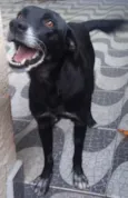 Tobby