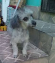 Pê