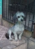 Pê