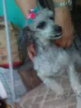 Pê