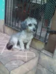 Pê