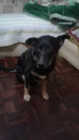 Dug