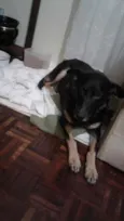 Dug