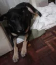 Dug