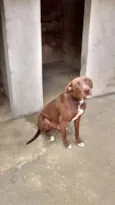   Spaider