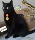 Obama, castrado, etc