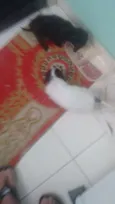 Dig
