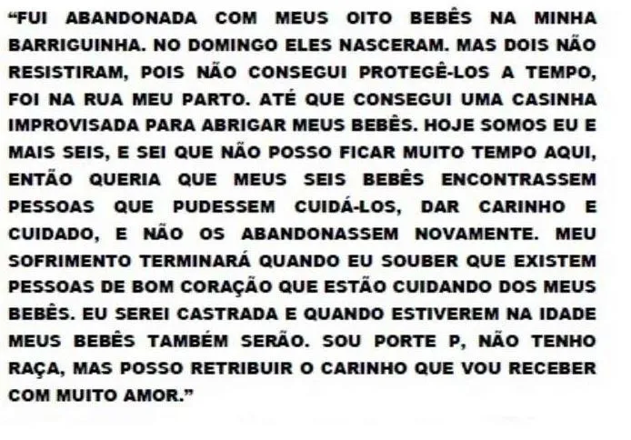 Cachorro ra a SRD idade 4 anos nome Cadela Porte P