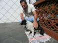 não tem