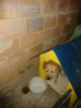 Mocinha