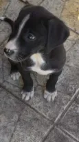 Vilma