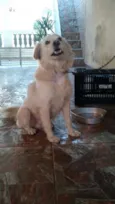 Tótó