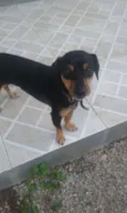 NINO