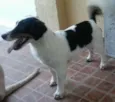 Teo