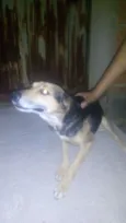 Max e Pedrita