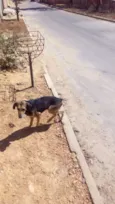 Max e Pedrita
