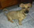 Bolinha