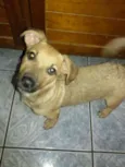 Bolinha