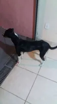 Não Tem Nome