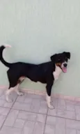 Não Tem Nome